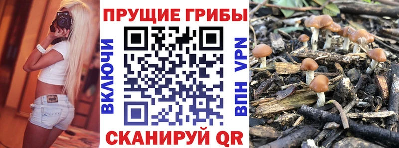 Псилоцибиновые грибы ЛСД  Лосино-Петровский 