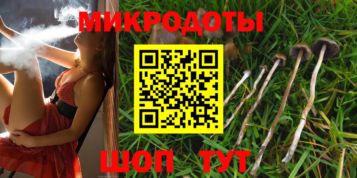 Псилоцибиновые грибы мицелий Лосино-Петровский