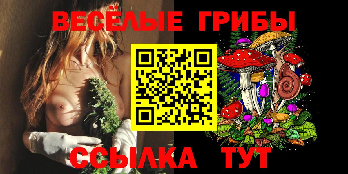Лосино-Петровский  Псилоцибиновые грибы прущие грибы  Вход с VPN 